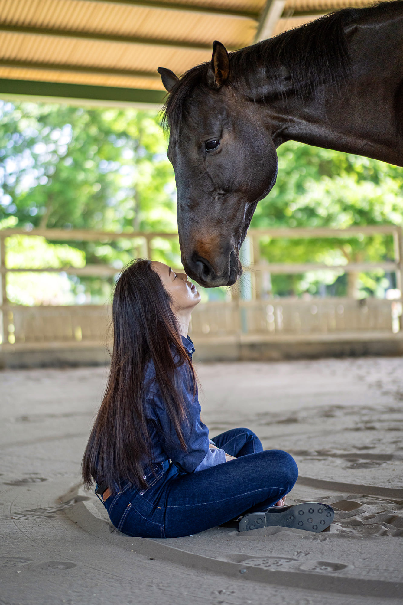― Horse Education ／ 人間教育